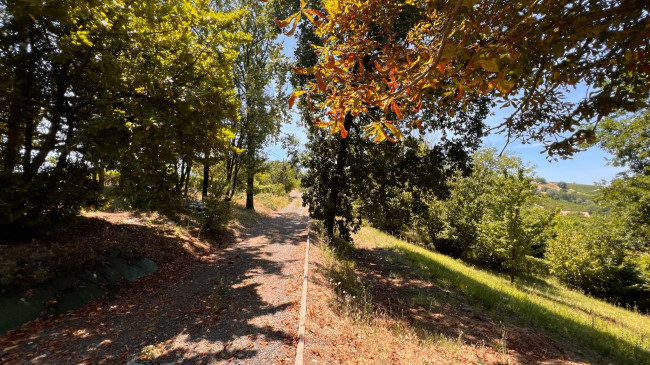 Cascina in Vendita a Canelli