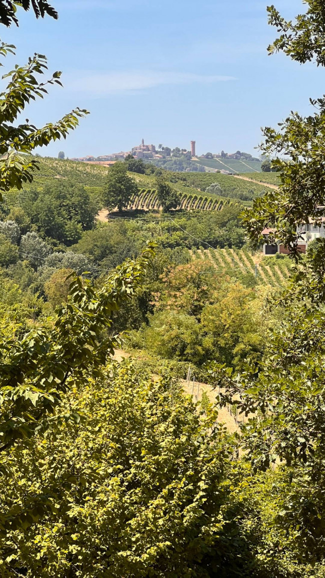 Cascina in Vendita a Canelli