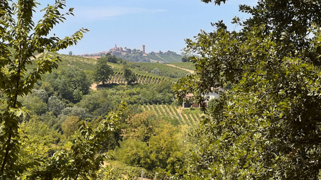 Cascina in Vendita a Canelli