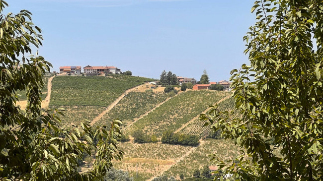 Cascina in Vendita a Canelli