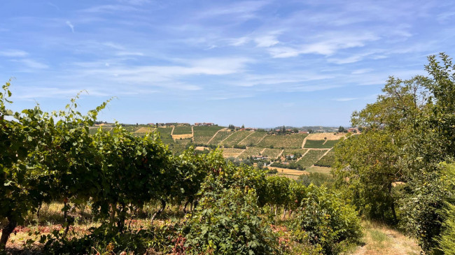 Cascina in Vendita a Canelli