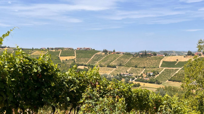 Cascina in Vendita a Canelli