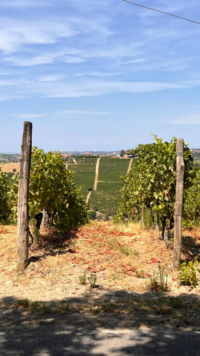 Cascina in Vendita a Canelli