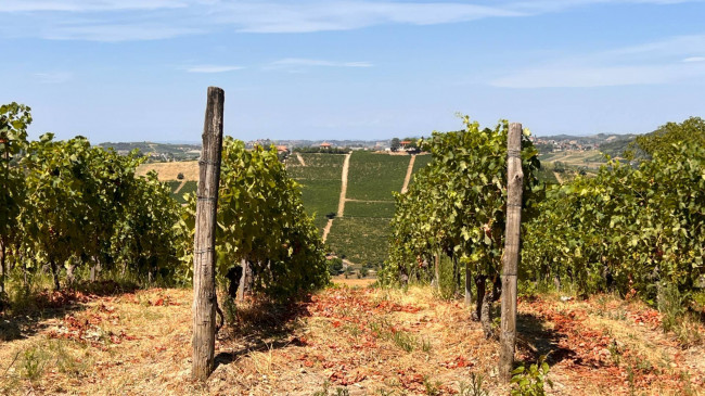 Cascina in Vendita a Canelli