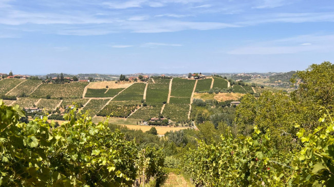 Cascina in Vendita a Canelli