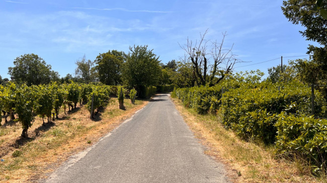 Cascina in Vendita a Canelli