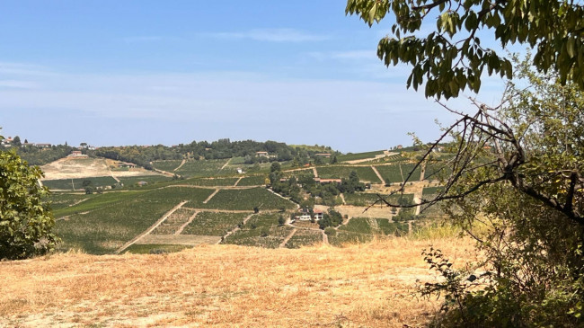 Cascina in Vendita a Canelli