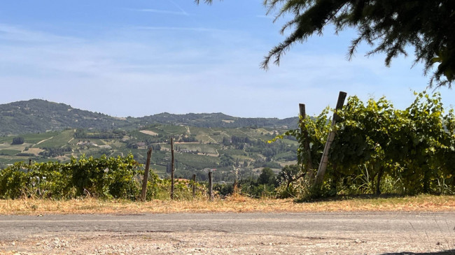 Cascina in Vendita a Canelli
