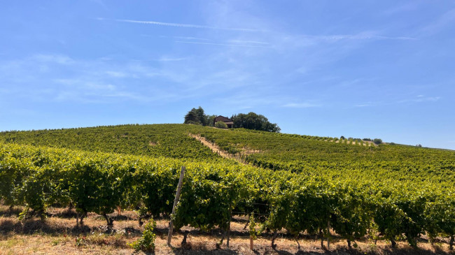 Cascina in Vendita a Canelli