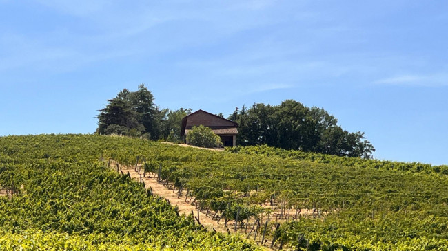 Cascina in Vendita a Canelli
