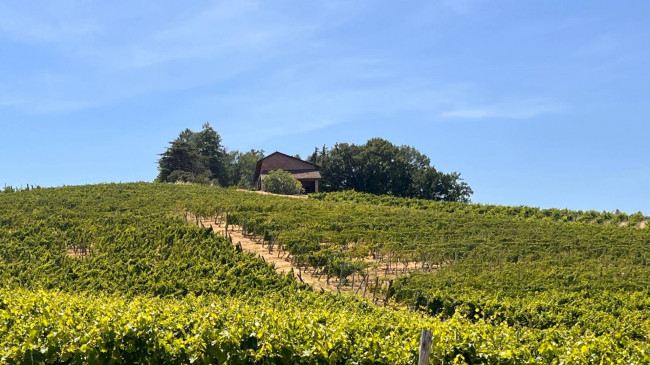 Cascina in Vendita a Canelli