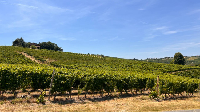 Cascina in Vendita a Canelli
