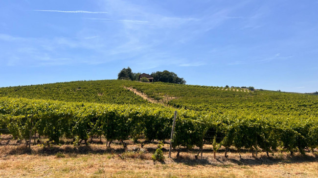 Cascina in Vendita a Canelli