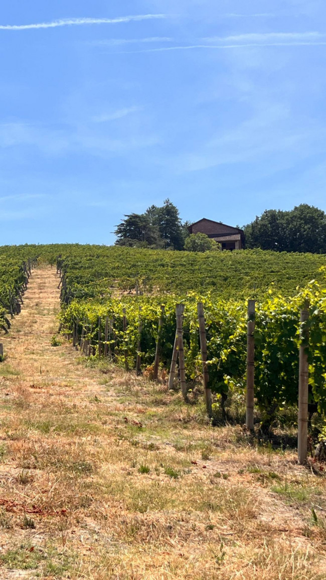 Cascina in Vendita a Canelli