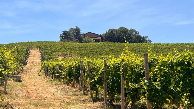 Cascina in Vendita a Canelli