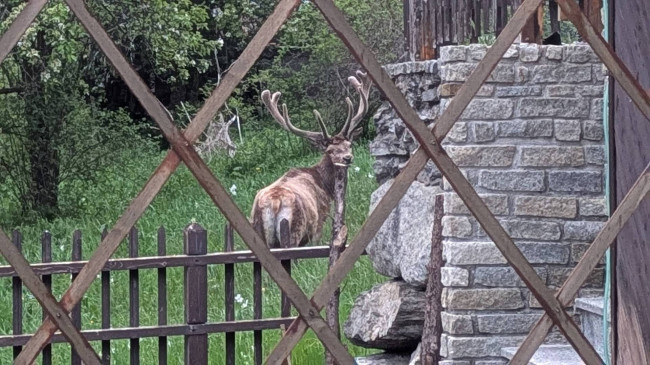 Appartamento in Vendita a Bardonecchia
