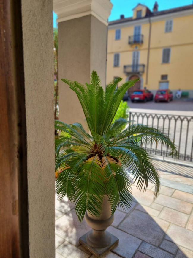 Dimora Storica in Vendita a Vesime