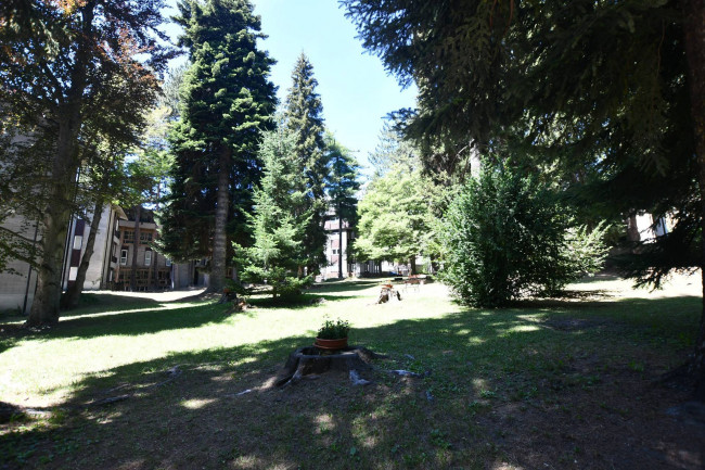 Appartamento in Vendita a Bardonecchia