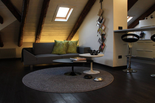 Appartamento in Affitto a Torino