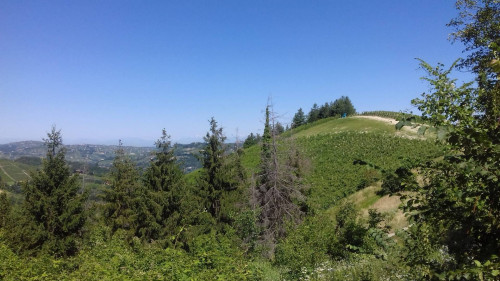 Rustico in Vendita a Cassinasco