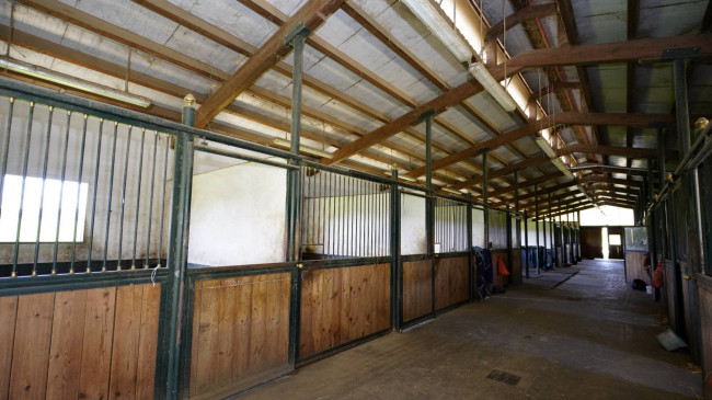 Villa in Vendita a Cellarengo