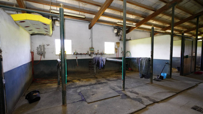 Villa in Vendita a Cellarengo