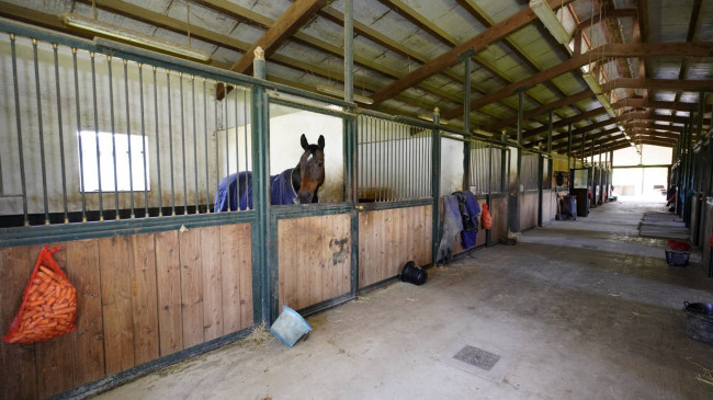 Villa in Vendita a Cellarengo