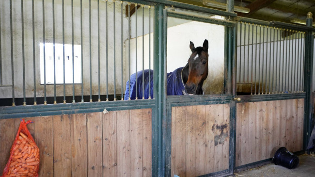 Villa in Vendita a Cellarengo