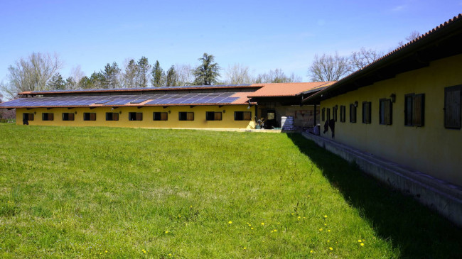 Tenuta in Vendita a Cellarengo