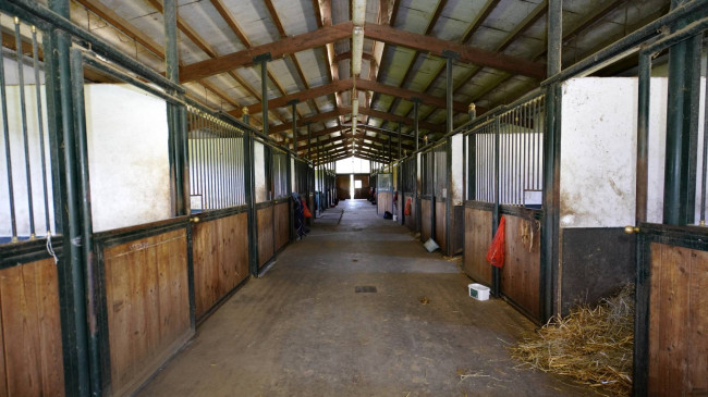 Tenuta in Vendita a Cellarengo