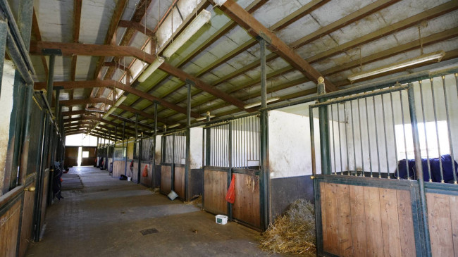 Tenuta in Vendita a Cellarengo
