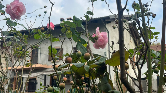 Cascina in Vendita a Robella