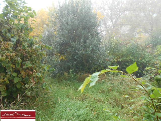 Villa Unifamiliare - Indipendente PORTOMAGGIORE vendita  Portoverrara  Linea Casa Portomaggiore