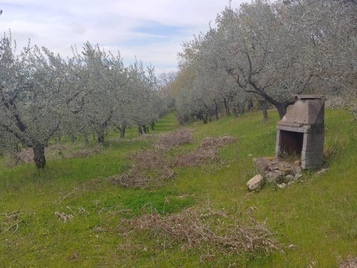 Terreno agricolo in vendita a Rocca Sant'angelo, Assisi (PG)