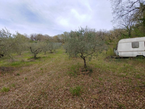 Terreno agricolo in vendita a Rocca Sant'angelo, Assisi (PG)