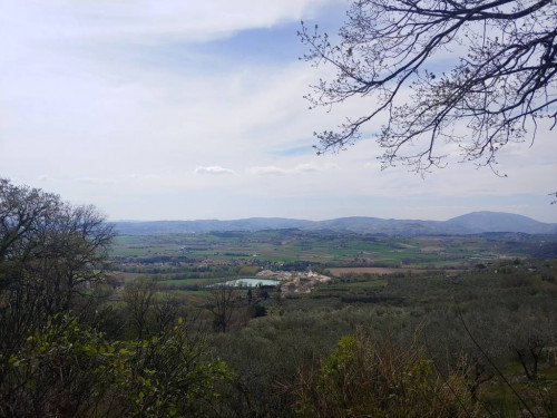 Terreno agricolo in vendita a Rocca Sant'angelo, Assisi (PG)