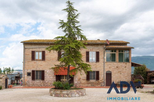 Casa semi-indipendente in vendita a Castelnuovo, Assisi (PG)