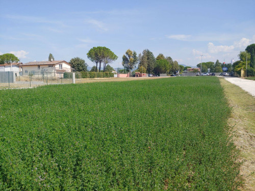 Terreno edificabile in vendita a Tordandrea, Assisi (PG)