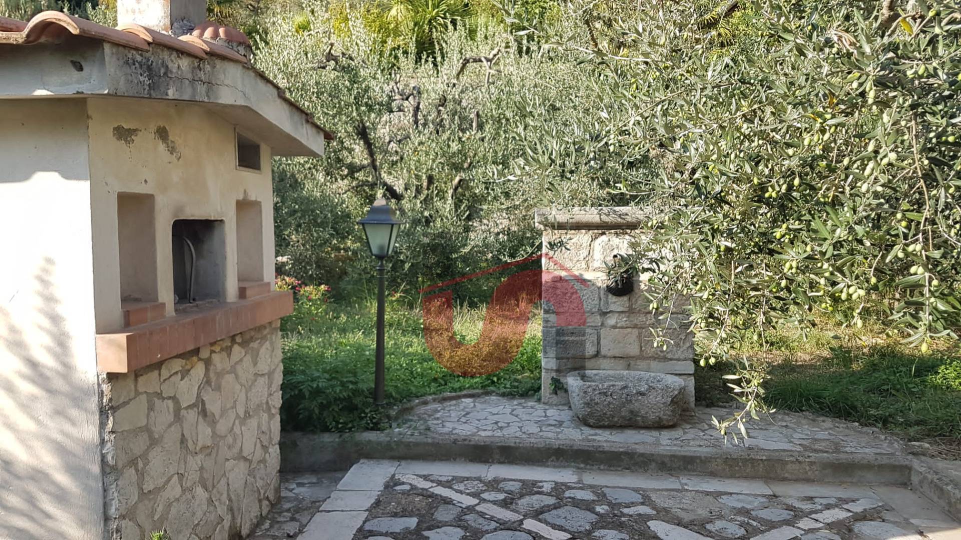 immagine annuncio