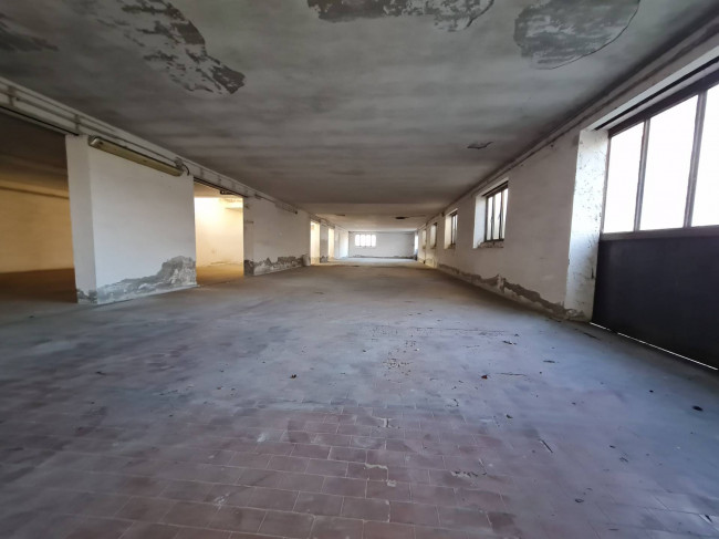 Magazzino in affitto a Rovigo