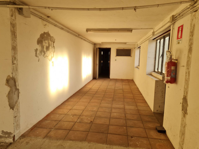 Magazzino in affitto a Rovigo