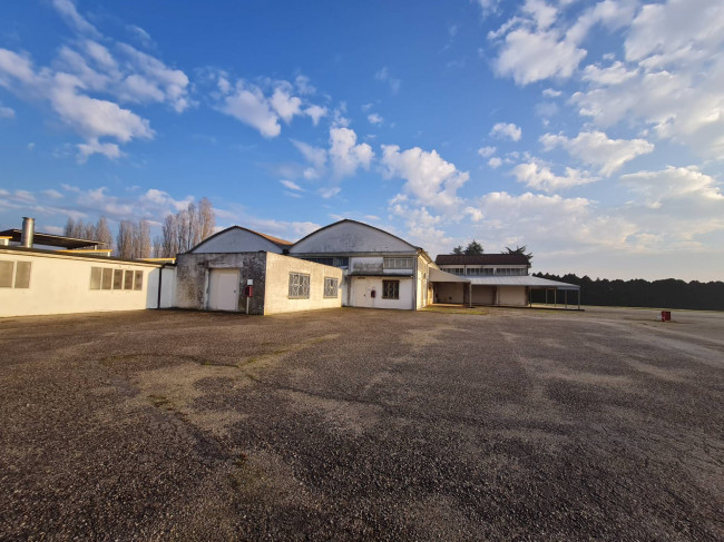 Magazzino in affitto a Rovigo