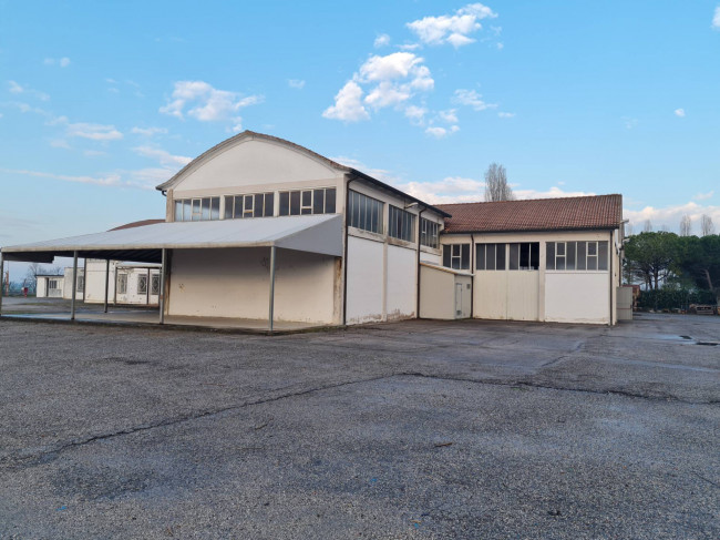 Magazzino in affitto a Rovigo