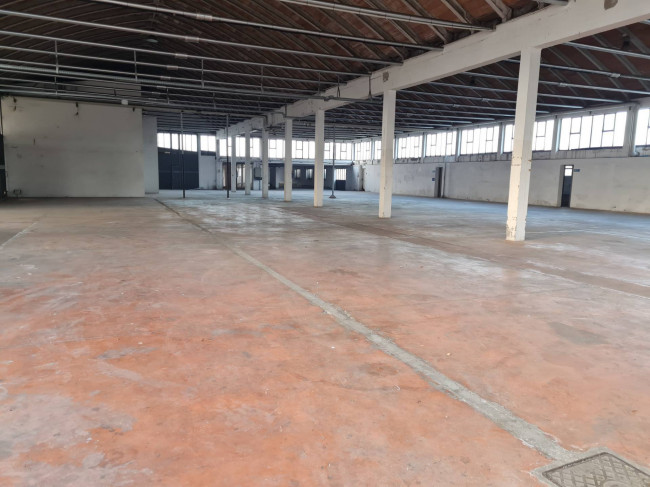 Magazzino in affitto a Rovigo