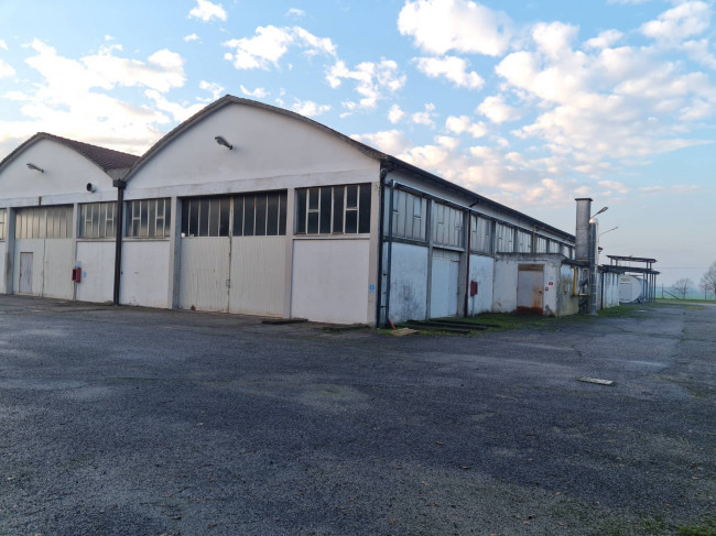 Magazzino in affitto a Rovigo