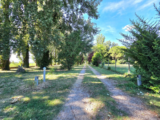 Casa singola in vendita a Guarda Veneta