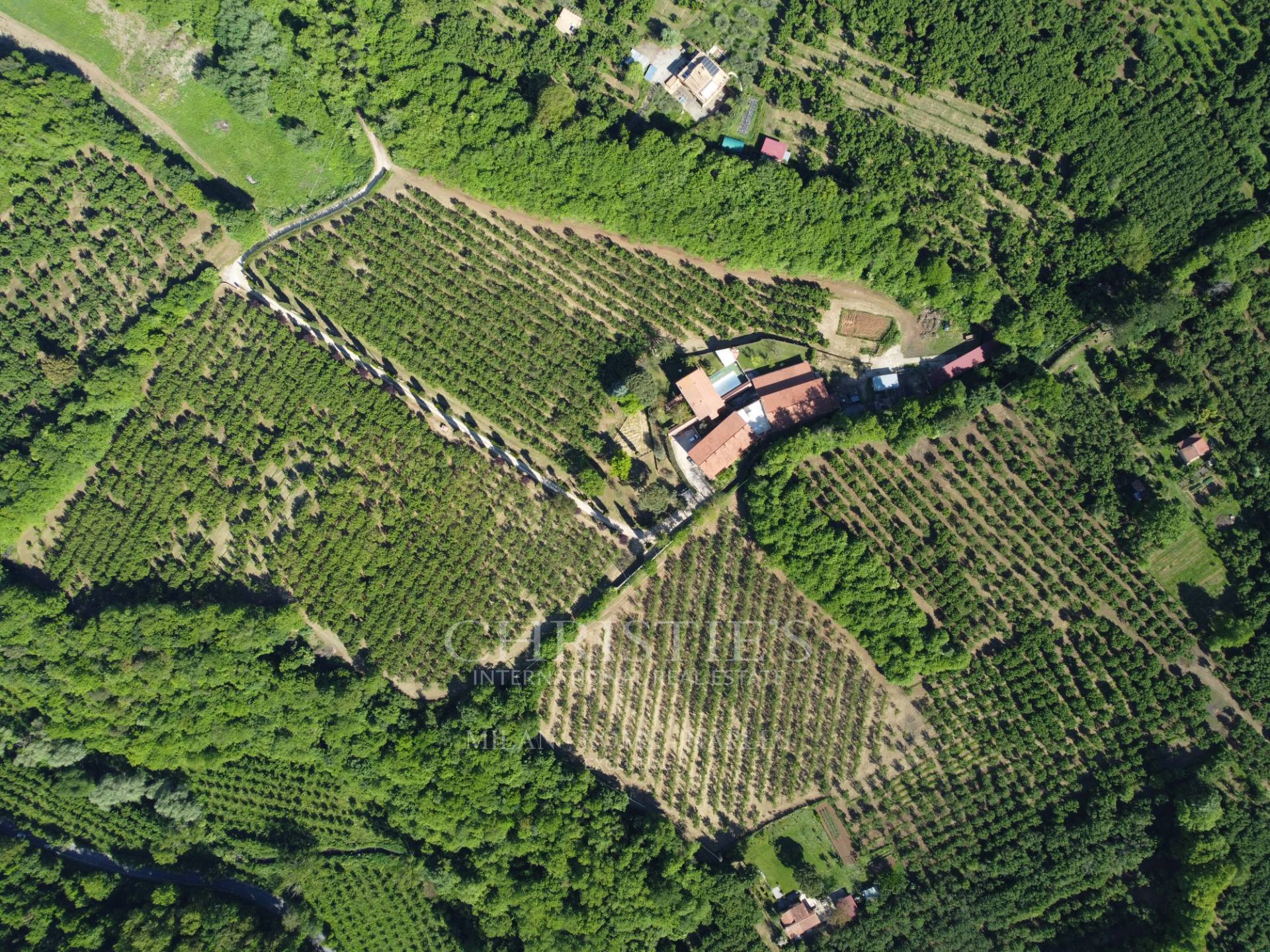 picture of Farmhouse Villa In Sutri.