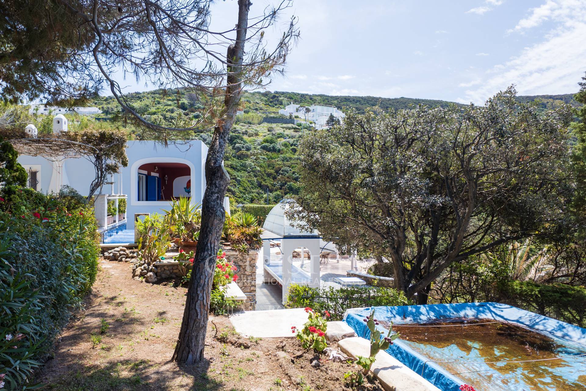 picture of House For Sale, Ponza Island