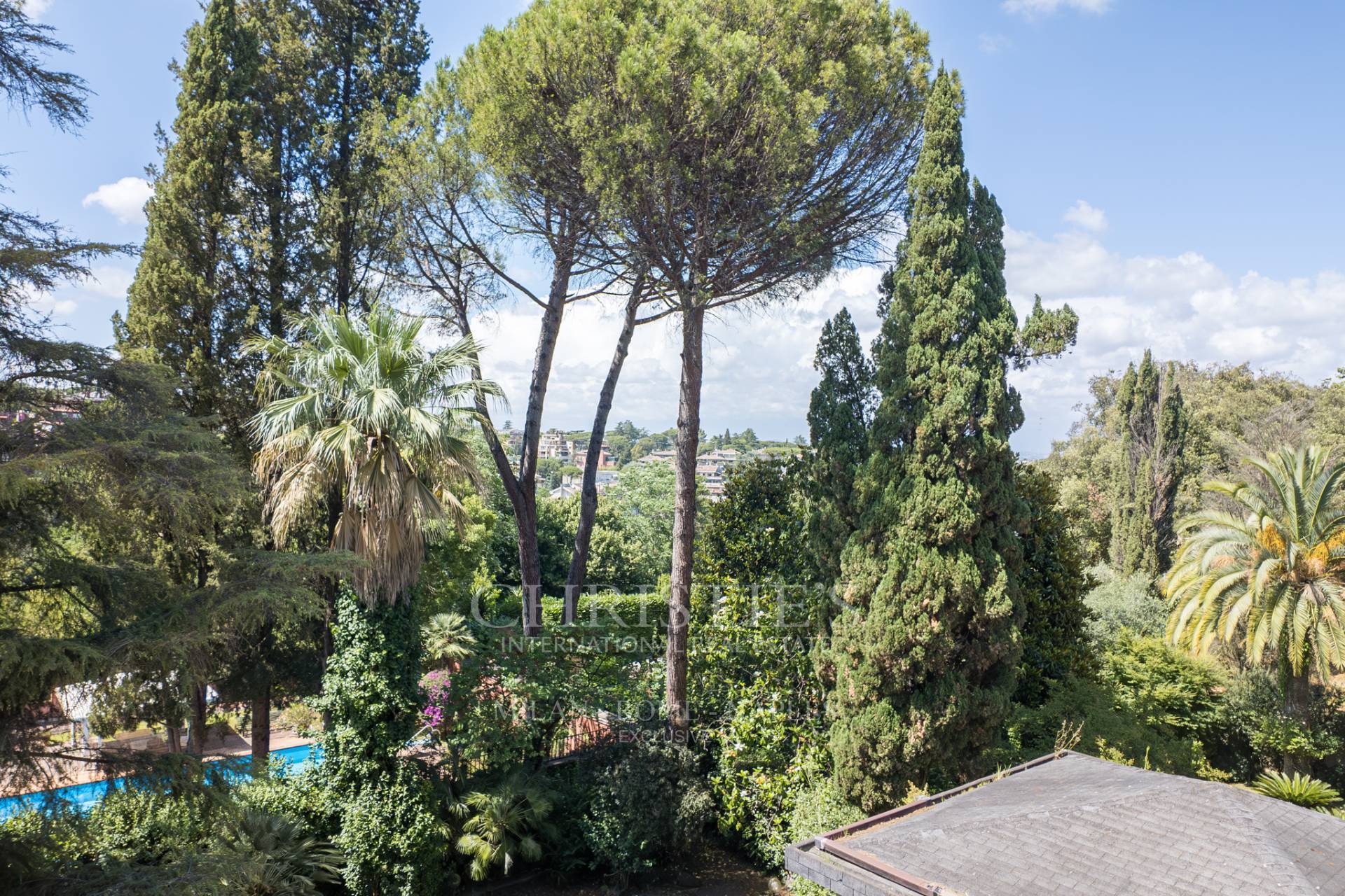 picture of Representative Penthouse Surrounded By Green.