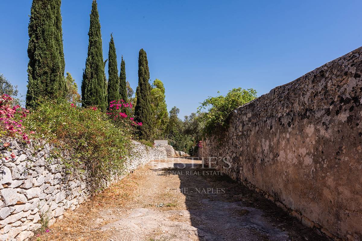 picture of Tenuta Cammarana